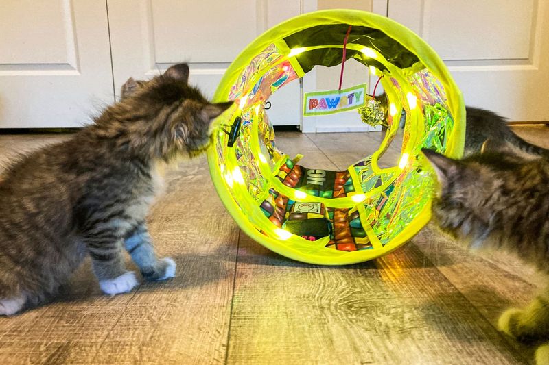 Toy Rotation: Keeping the Hunt Fresh and Exciting