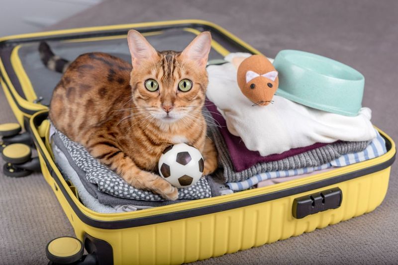 Travel Compatibility