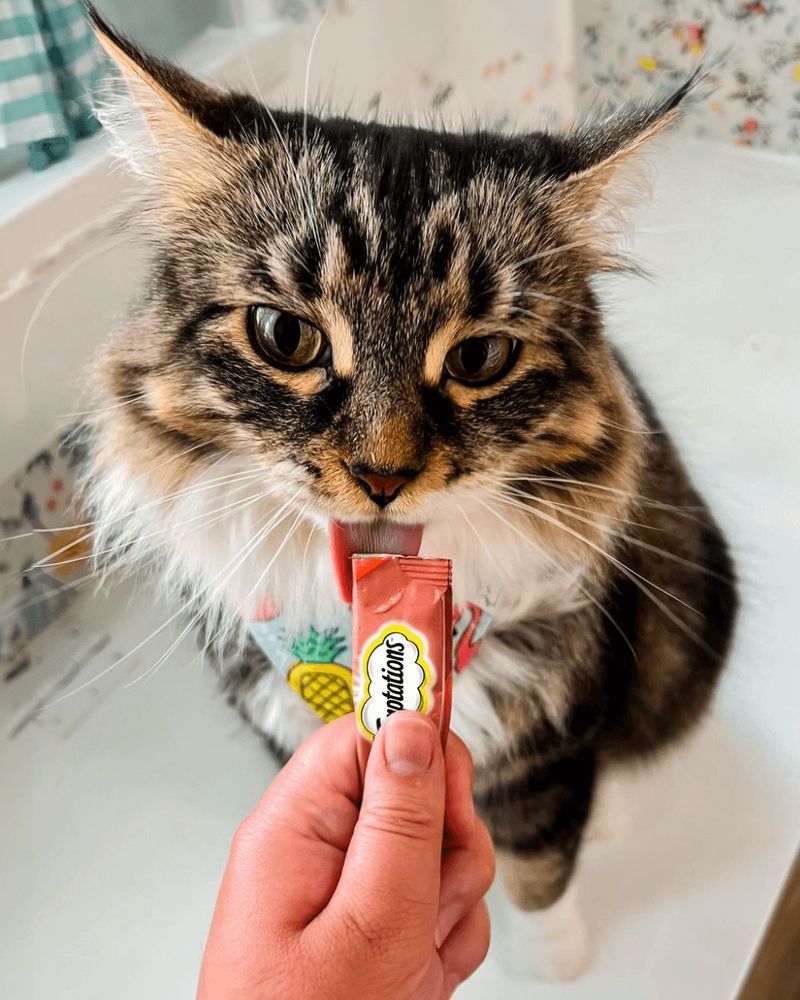 Treat Trail Training