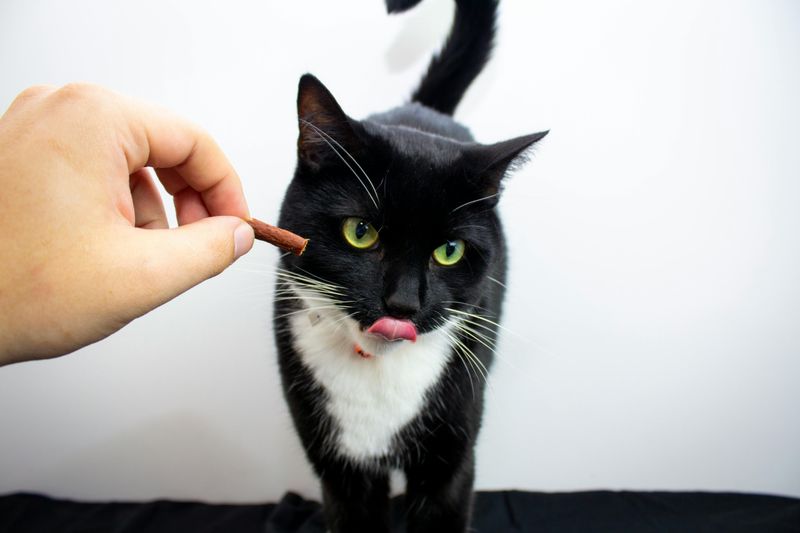 Treats
