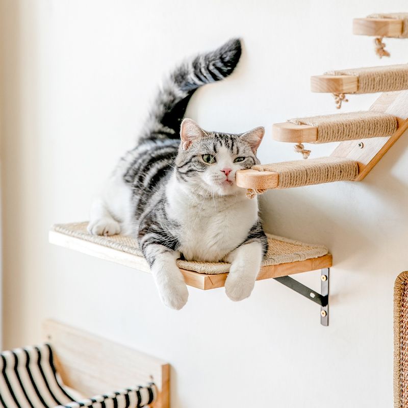 Tree-Climbing Escapades