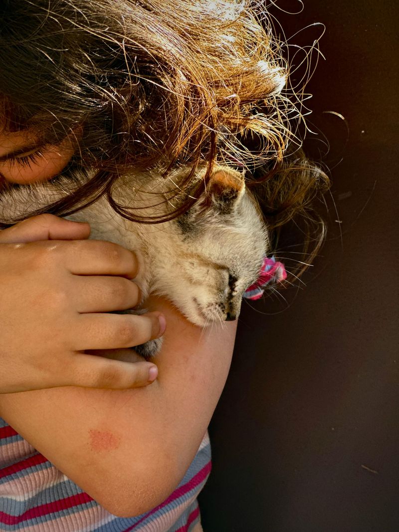 Trouble: Sudden Affection From an Aloof Cat