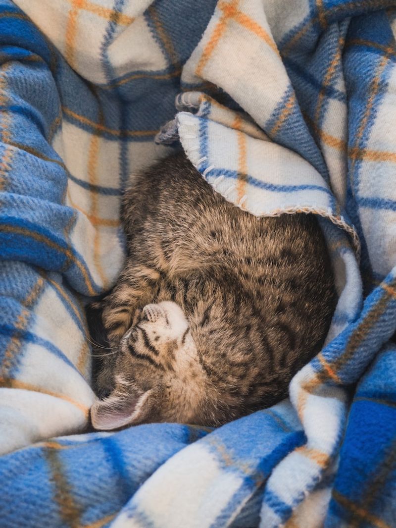 Unique Sleeping Positions