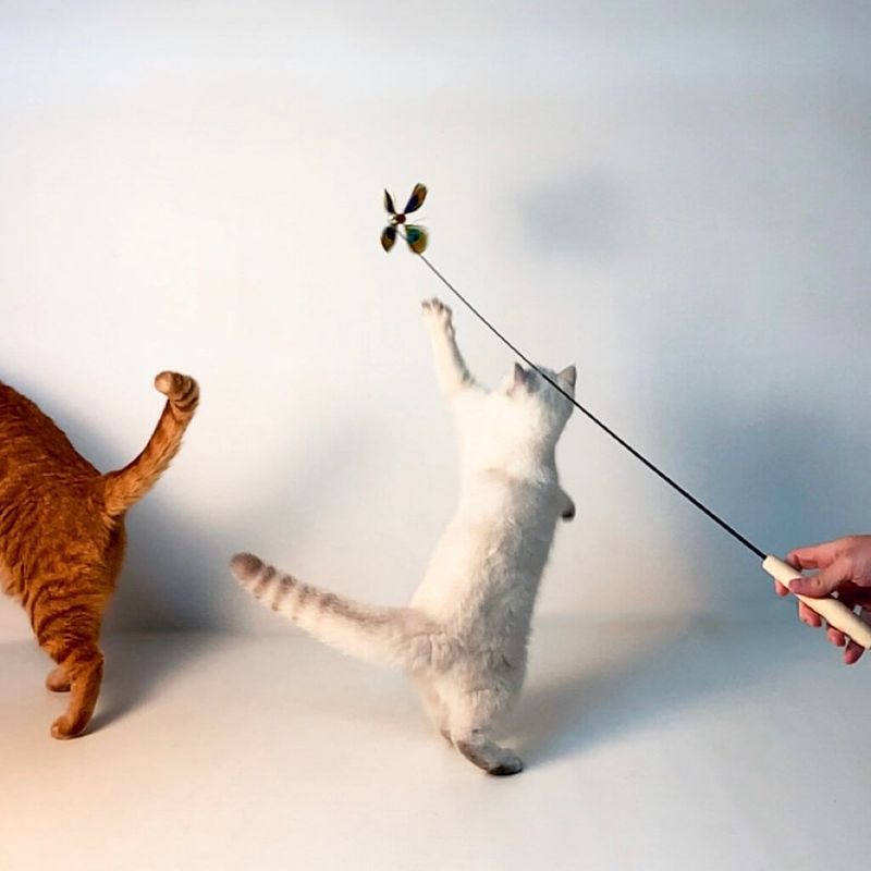 Use Interactive Play
