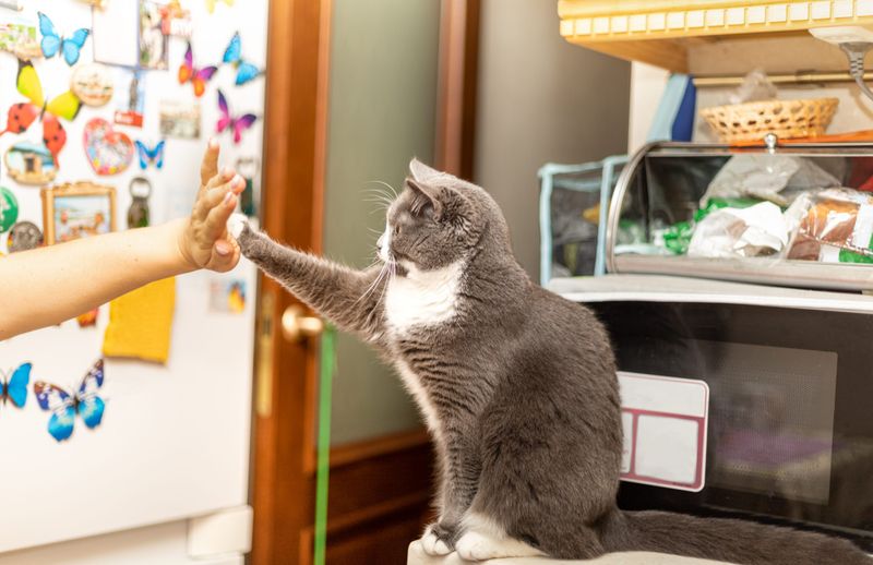 Use Positive Reinforcement