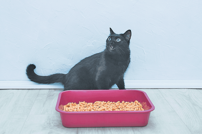 Using Liners or Covered Boxes
