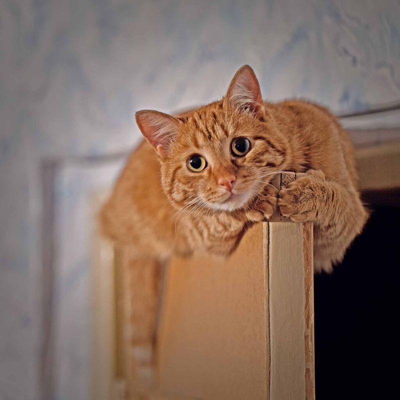 Using Punishment Instead of Positive Reinforcement