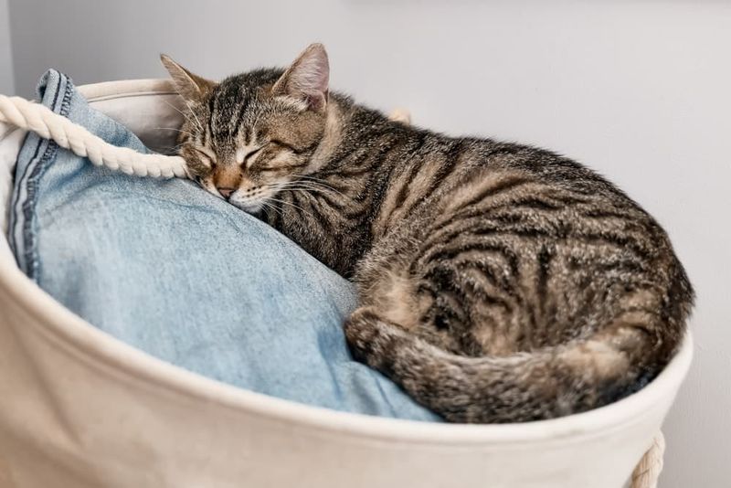 Using Your Clean Laundry As A Bed