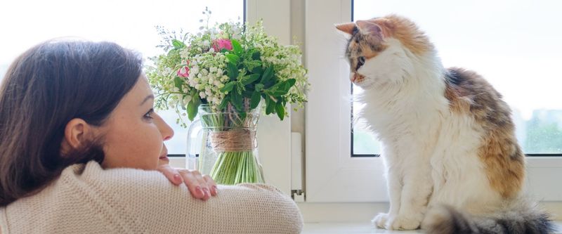 Using a Soft Voice