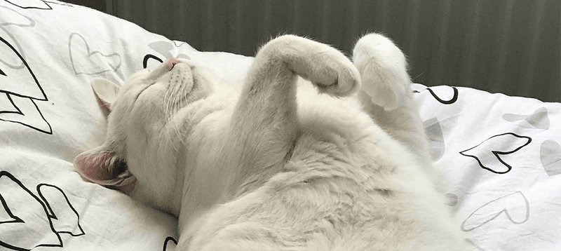 Vulnerable Sleeping Positions