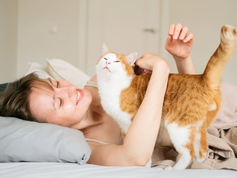 Waking You Up At Dawn