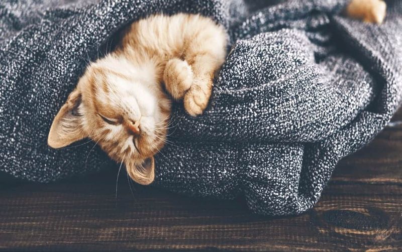 Warmth and Softness