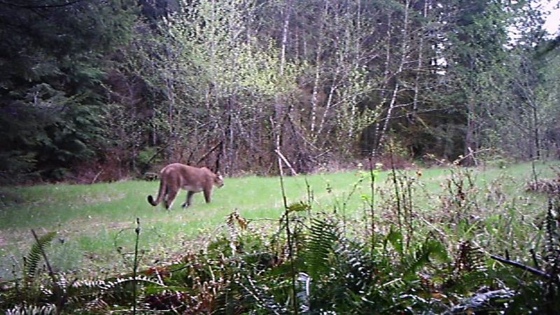 Washington