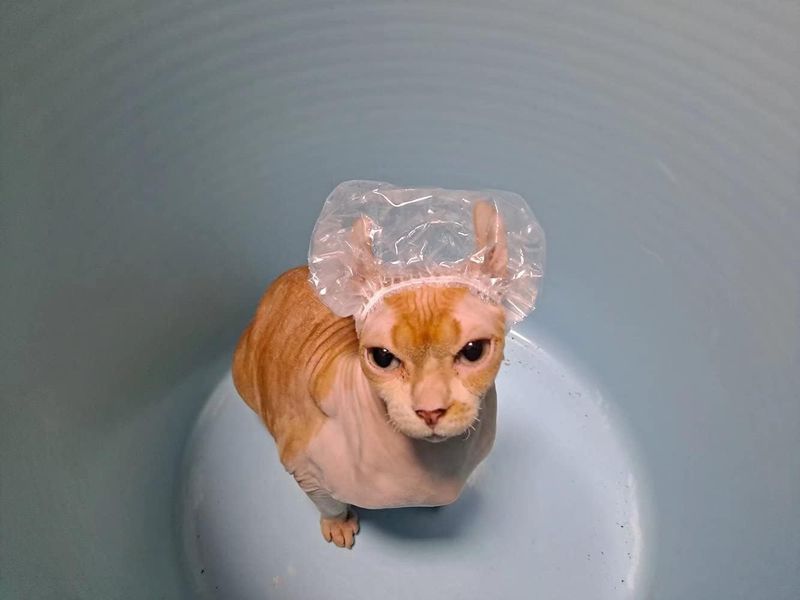 Watching You Bathe or Shower