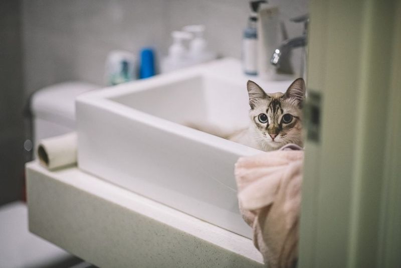 Watching You in the Bathroom