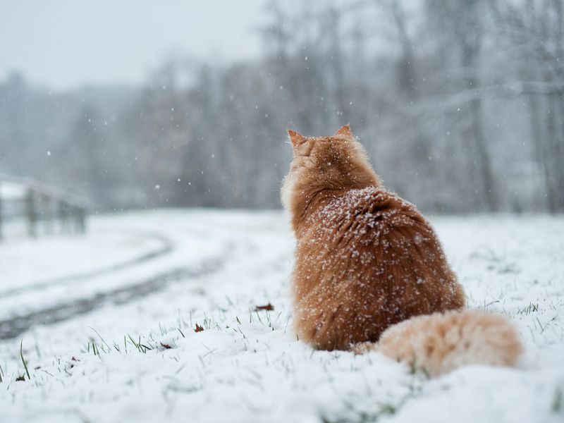 Weather Extremes