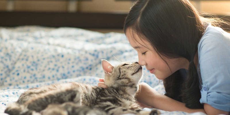 Why does my cat lick their butt... and then lick my face?