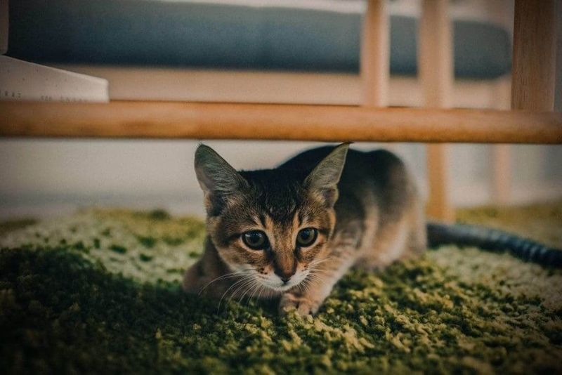 Withdrawal and Hiding