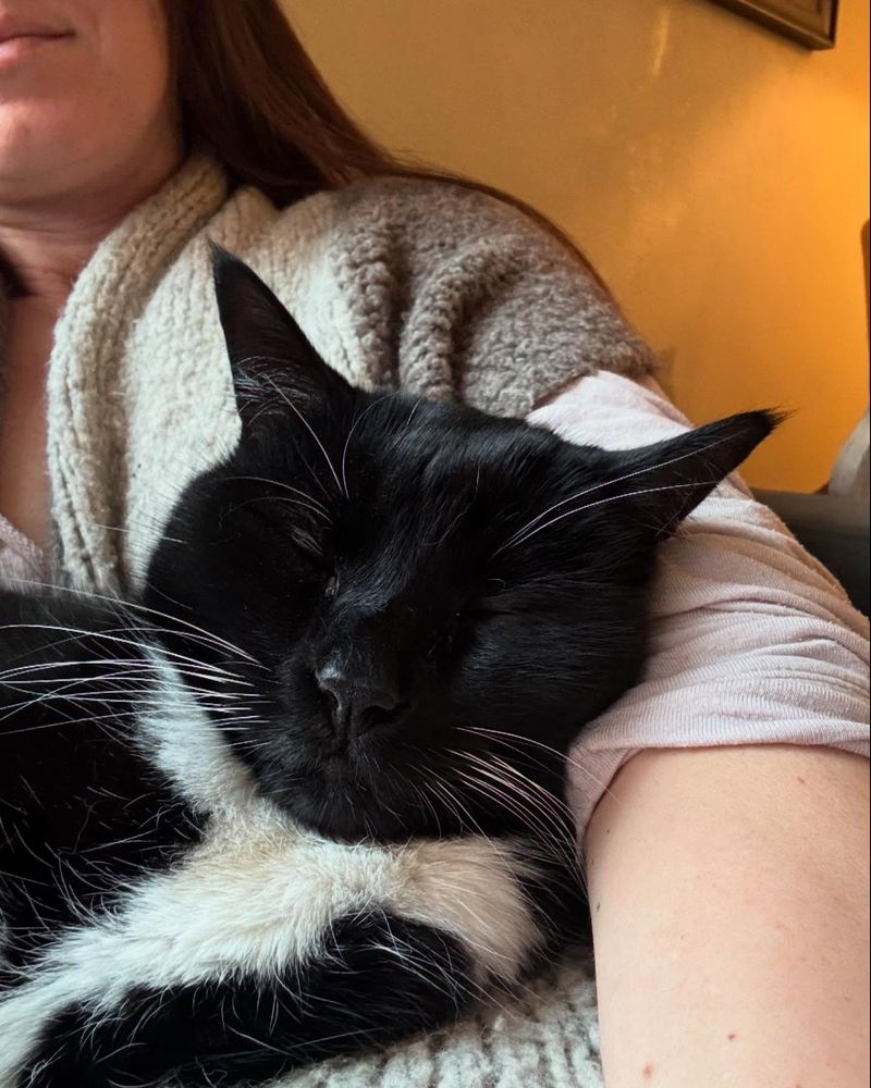 Yes: Purring With Relaxed Body