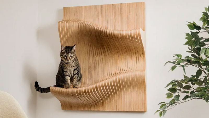 You Must Share Your Furniture