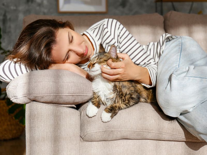 Your Personality Shapes Your Cat's Attachment Style
