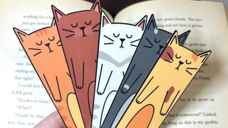 10 DIY Gifts for Cat Lovers You Can Make Today