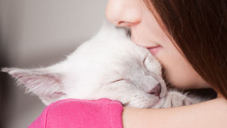 Cats Have Love Languages Too—Here Are the 5 Ways They Show You They Care