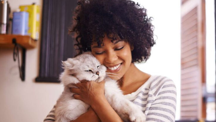 Considering Adopting a Cat? 10 Benefits of an Adult Cat Over a Kitten
