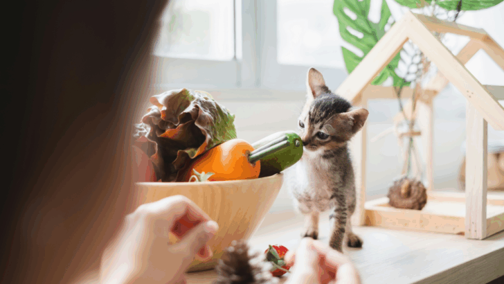 5 Veggies That Are Safe for Cats & 4 They Should Never Touch