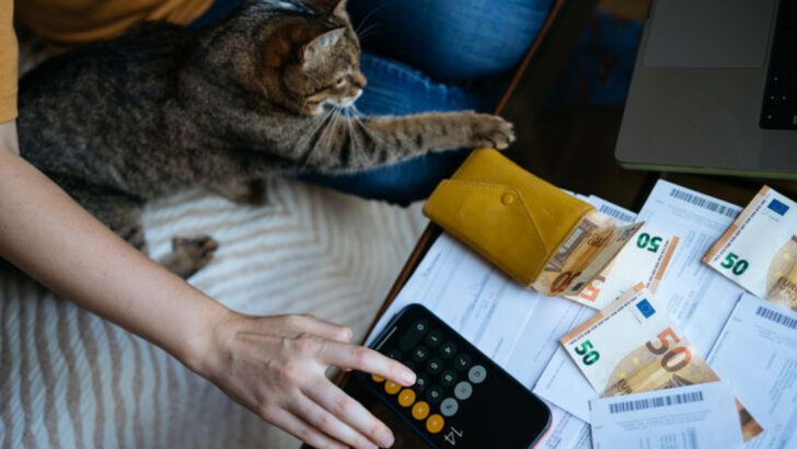 How Much Do Americans Really Spend on Their Cats Each Year? The Numbers May Surprise You