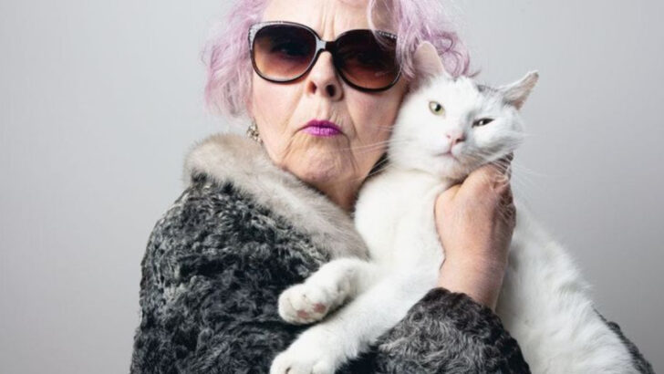 Think You’re Not a Cat Person? These 12 Personality Traits Say Otherwise