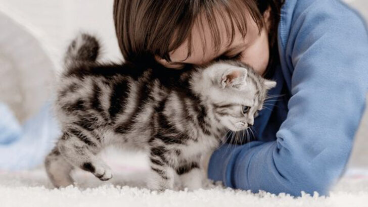 10 Things That Can Instantly Calm a Stressed Cat