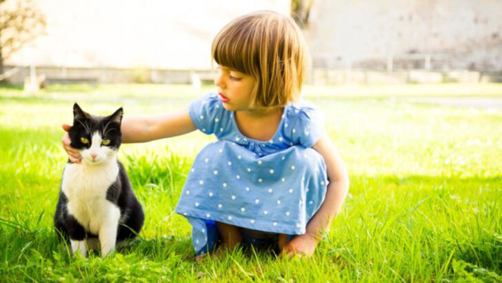 10 Ways a Cat Can Be the Soft Support System Your Child Needs