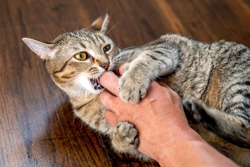 10. Biting