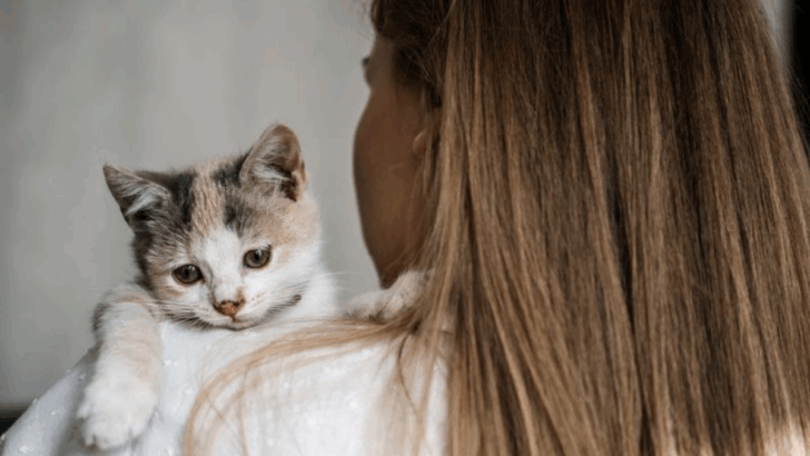 15 Things Cats Remember Forever — and How You Make the List