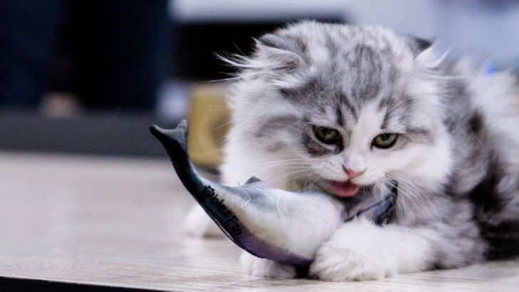 15 Foods Cats Can’t Resist Eating — But Are Actually Dangerous for Their Health
