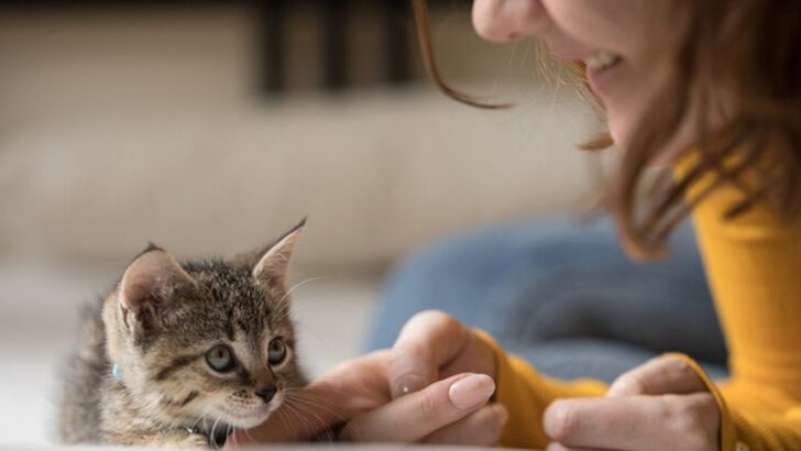 16 Subtle Signs You’re Actually a Great Pet Parent Without Even Realizing It