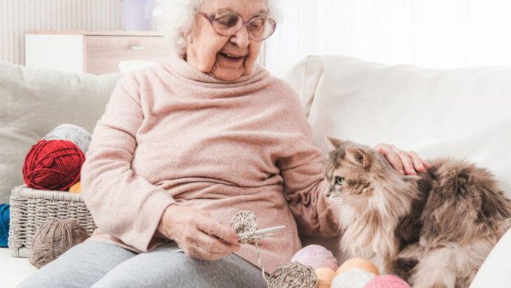 17 Reasons Why Cats Are Great Companions for Seniors