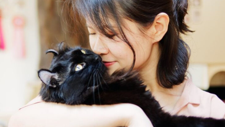 19 Ways Cats Show Love Without Being Clingy Like Dogs