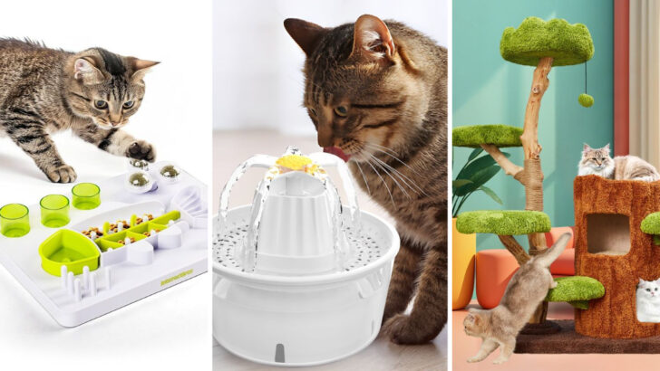 38 Must-Have Items for Cat Parents Who Live to Please Their Felines