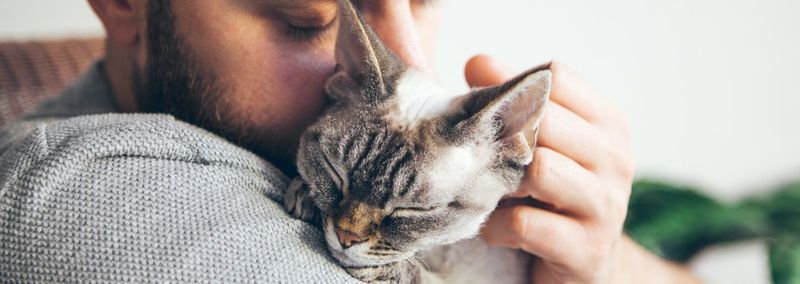 Affectionate Companions