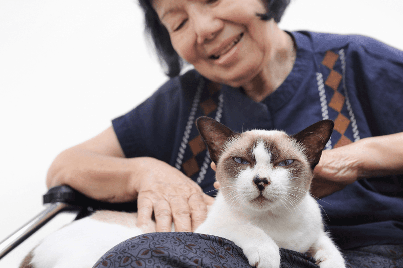 Affordable Pet Ownership