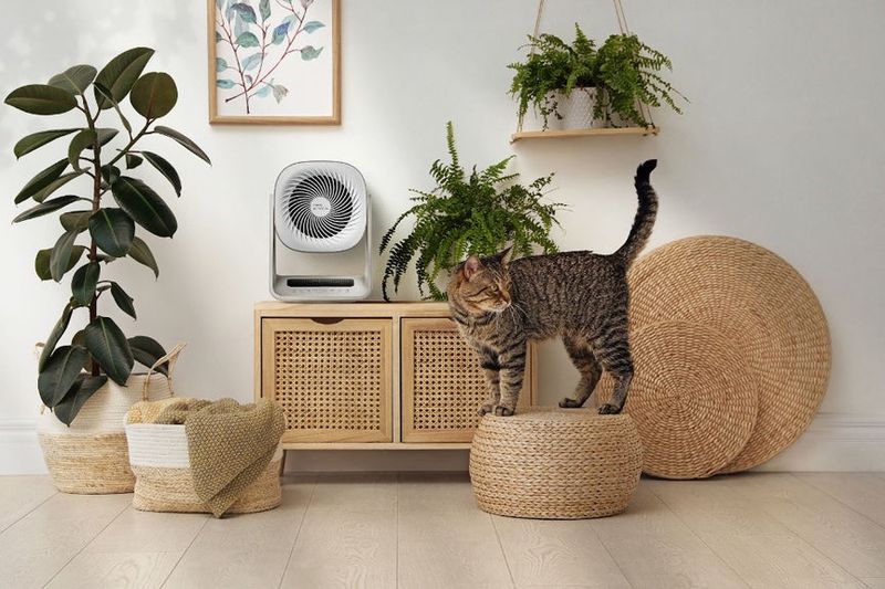 Air Purification Systems