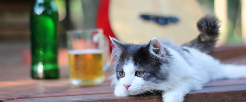 Alcohol: Severe Toxic Threat