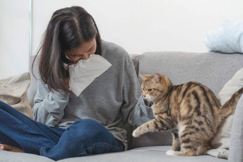 Allergies and Asthma