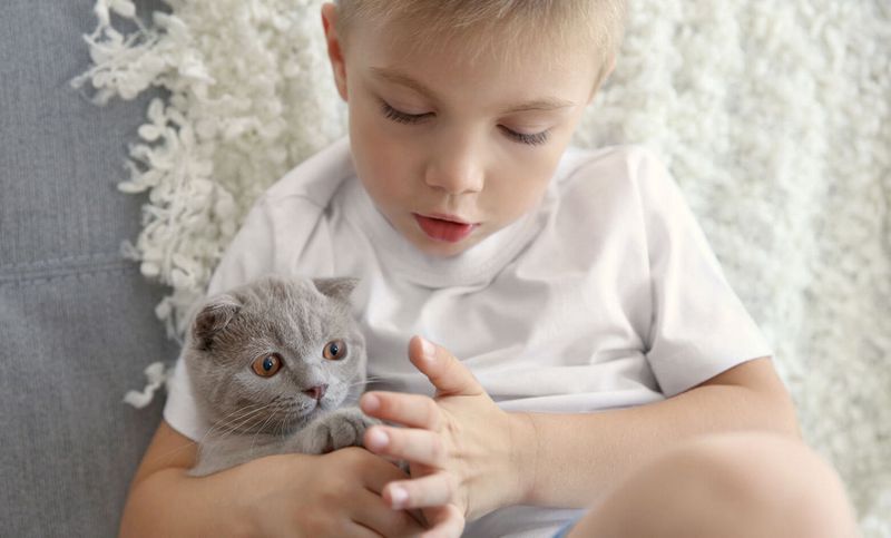 Allergy Prevention Specialists