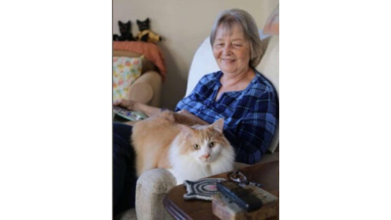 Alleviating Loneliness with Cats