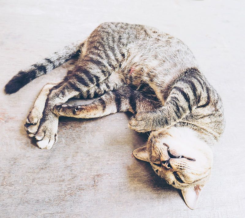 Altered Sleep Positions