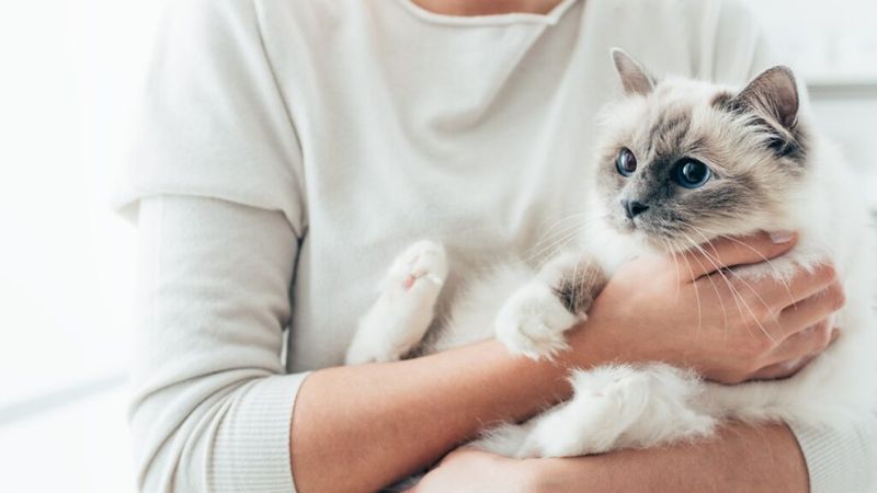 Anxiety-Calming Presence