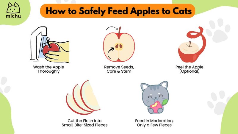 Apple Pieces